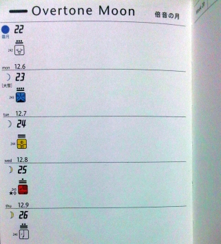 13diary02.jpg
